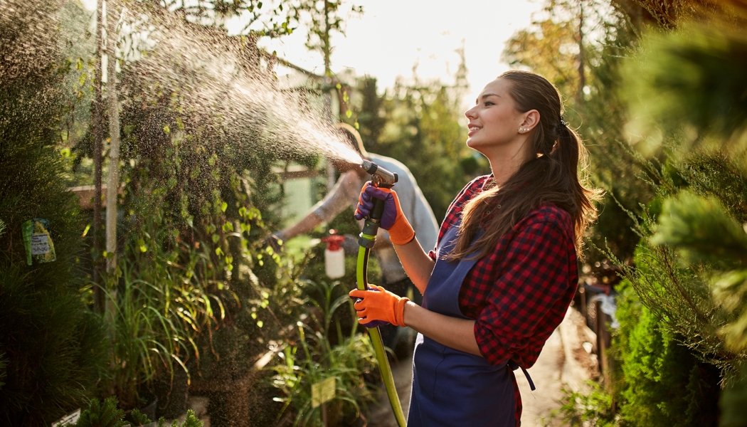 pesticidi fitofarmaci agricoltura acqua Nanosystem